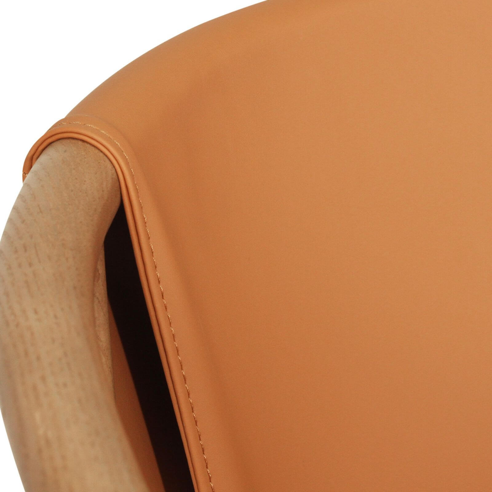 Botanica | Coastal PU Leather Light Khaki Tan Wooden Dining Chairs With Arms | Tan
