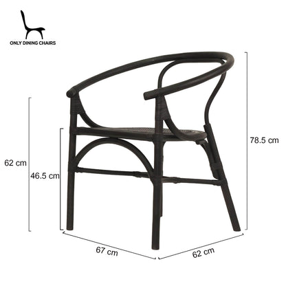 Brookwater | Coastal Black Natural Rattan Dining Chairs With Arms | Black