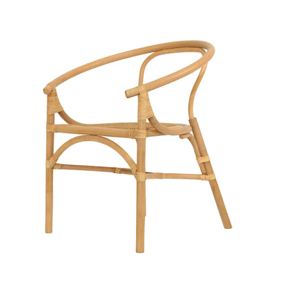 Brookwater | Coastal Black Natural Rattan Dining Chairs With Arms | Natural