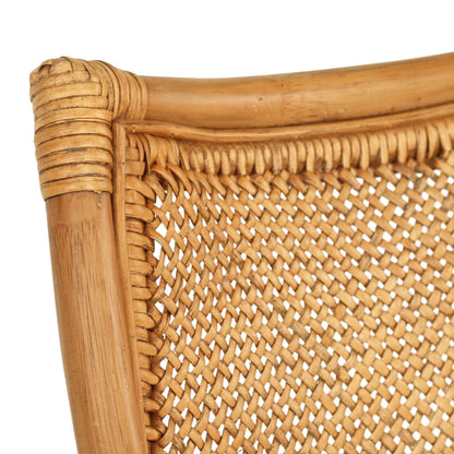 Granada | Coastal Natural Brown Rattan Dining Chair With Arms | Brown