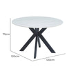 Salina | Modern Metal Matte Ceramic 4 Seater Round Table