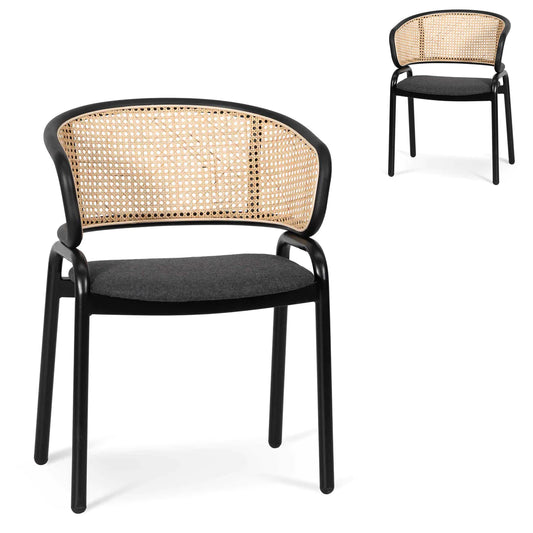 Seabreeze | Modern Coastal Metal Rattan Dining Chairs | Set Of 2