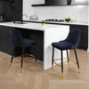 Montville | Version 1 | Modern Metal Velvet Bar Stools | Set Of 2