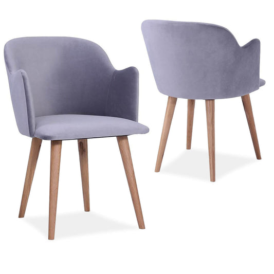 Hoth | Grey, Dark Green Wooden Modern Dining Chairs | Set Of 2 | Grey