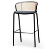 Seabreeze | Modern Metal Coastal Rattan Bar Stools | Set Of 4