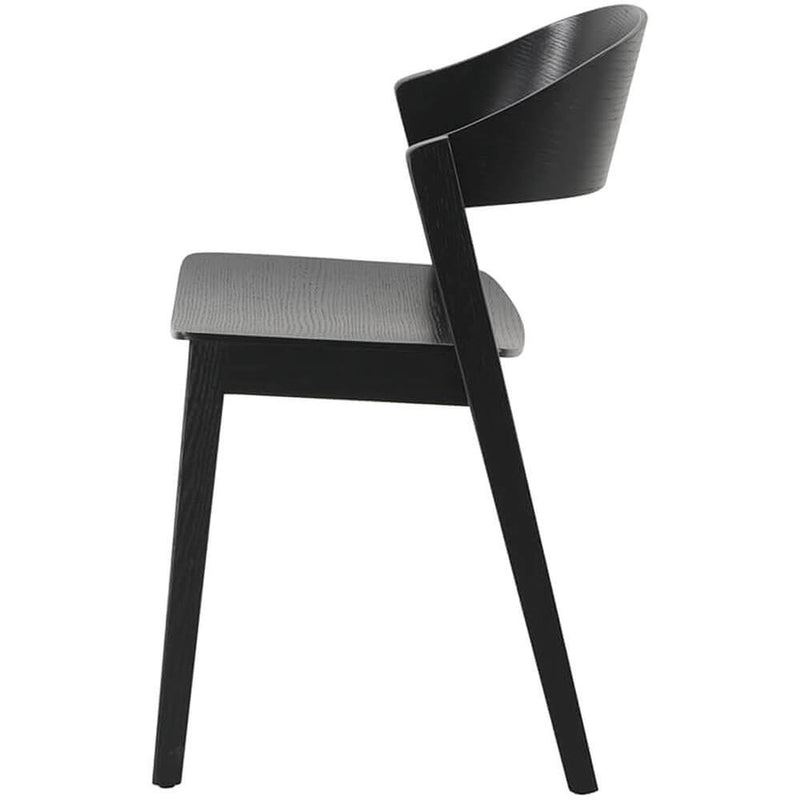 Springwood Coastal Black Wooden Dining Chairs Set Of 2